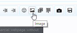 how upload photos - 12 insert image button.png
