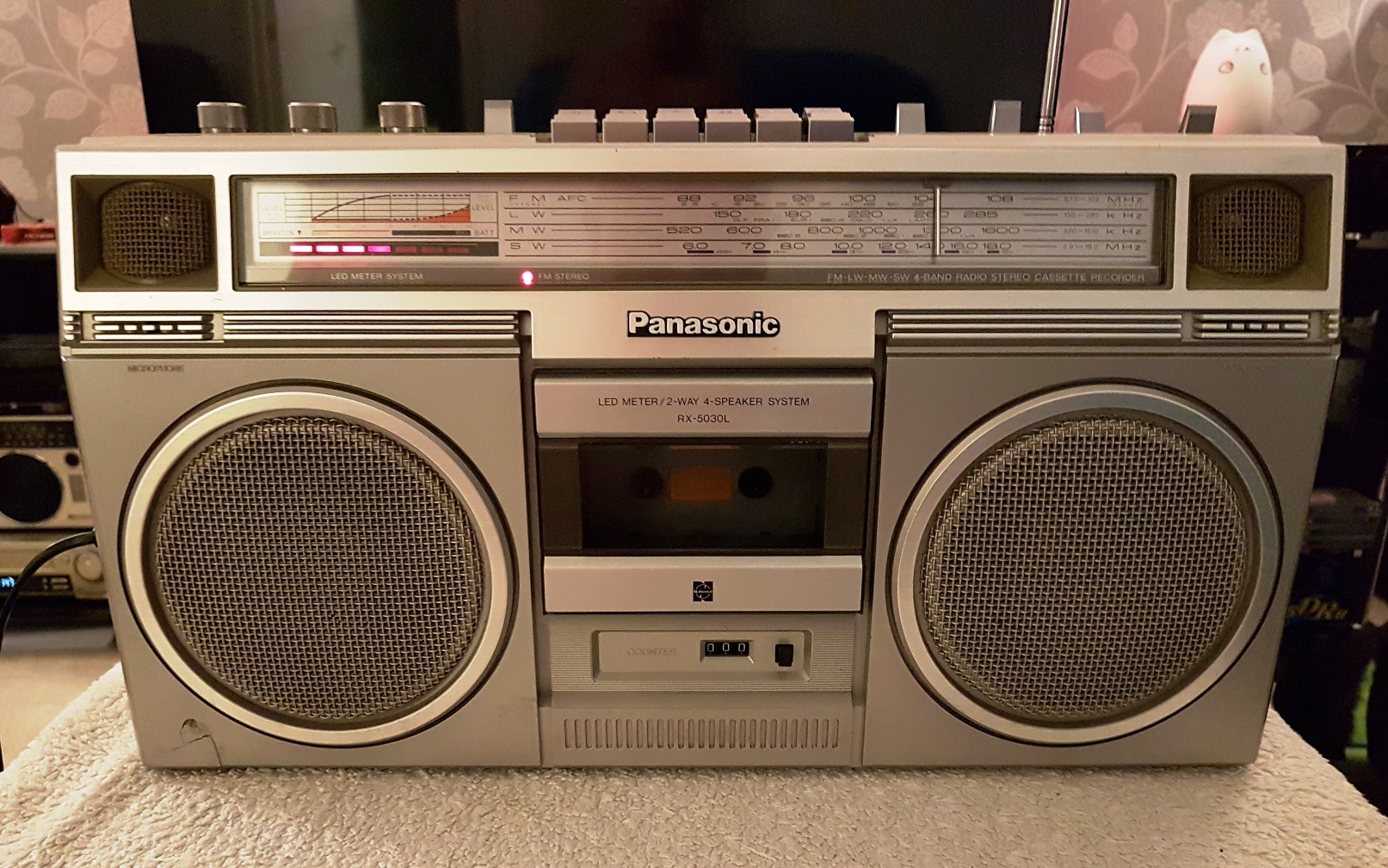 Panasonic RX-5030L - September 2018 (10).jpg
