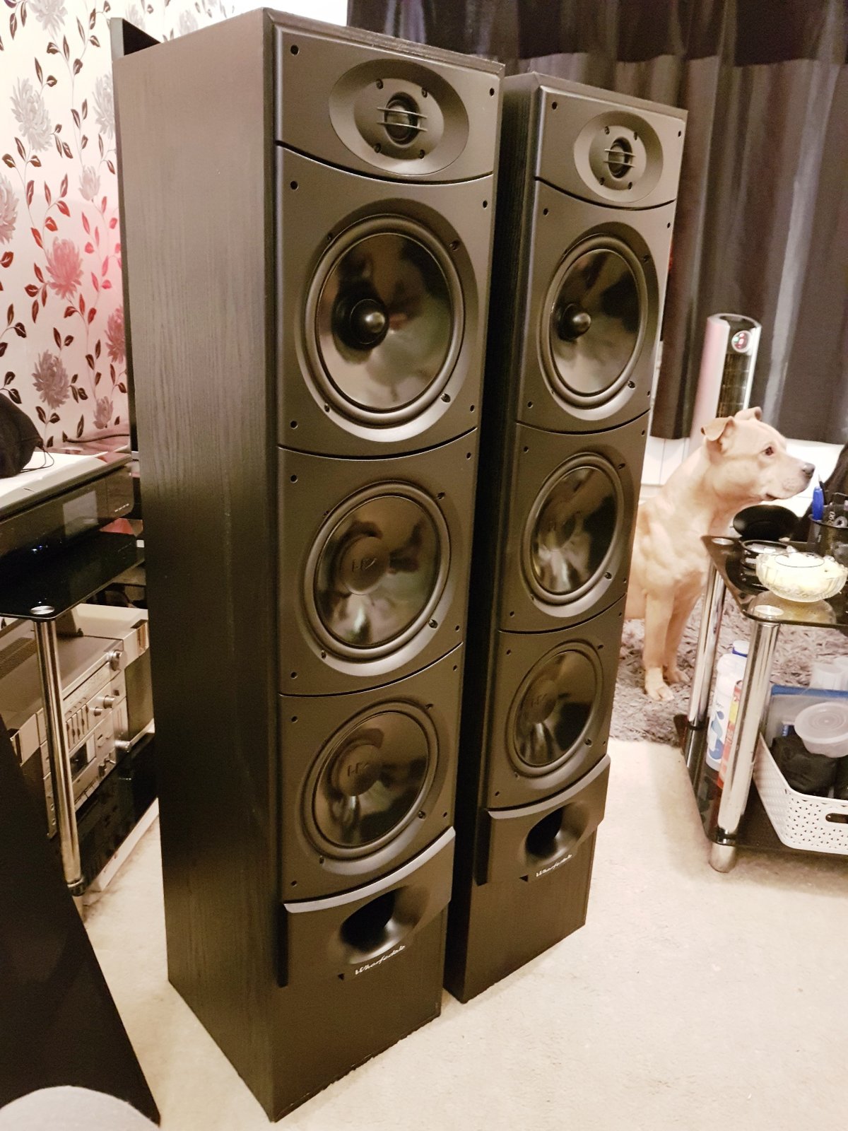 Wharfedale Xarus 5000 Spokers - January 2018 (3).jpg
