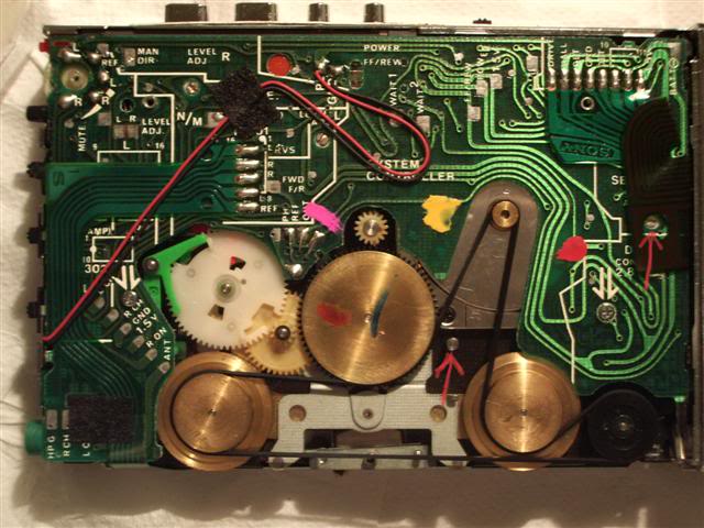 wm-101.jpg