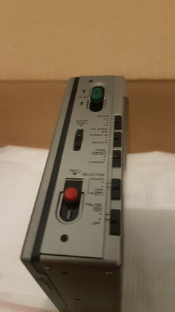 15366466933815981181156607830524.jpg