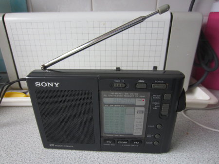 ICF-SW40.JPG