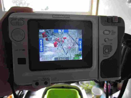Viewcam rear.JPG