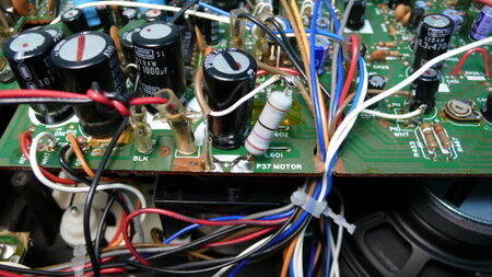 L1130832.JPG