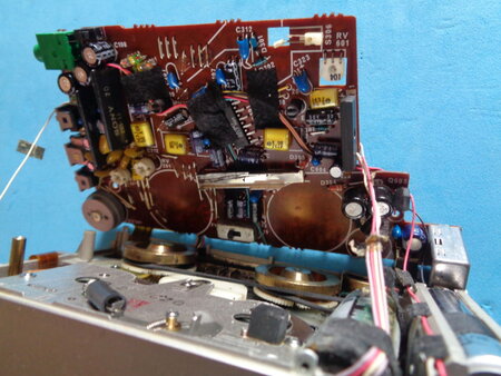 DSC01591.jpg
