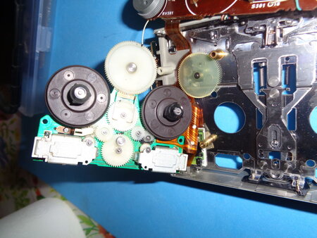 DSC01646.jpg