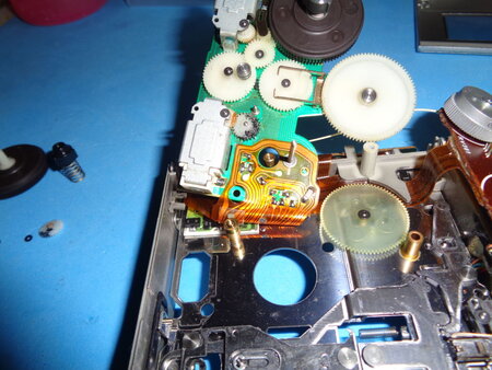 DSC01652.jpg