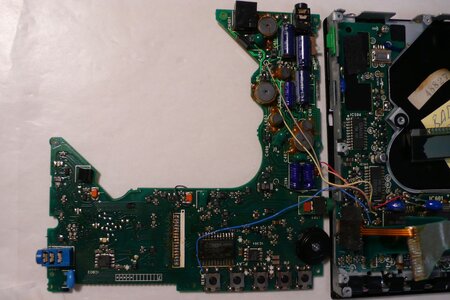 P1080923s.jpg