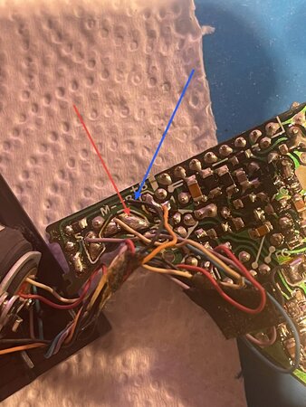 IMG_9796.jpeg