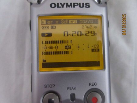 Olympus_LS11_02.jpg