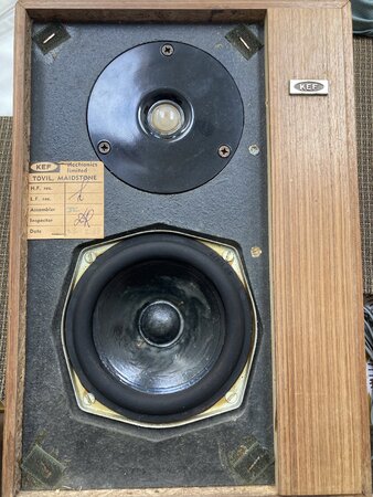 IMG_7454.jpeg