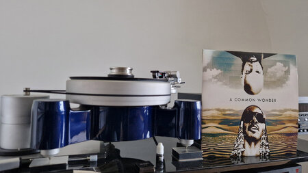 Amerigo Gazaway - A Common Wonder.jpg