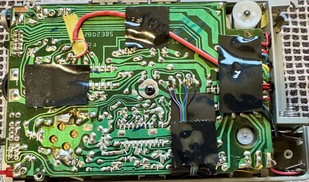 IMG_7154.jpeg