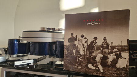 Madness - The Rise & Fall.jpg