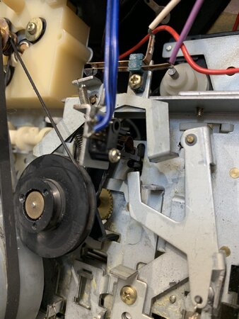IMG_8813.jpeg