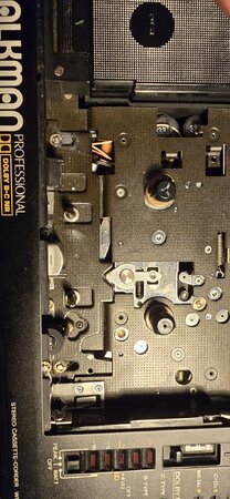 20260329_181036.jpg